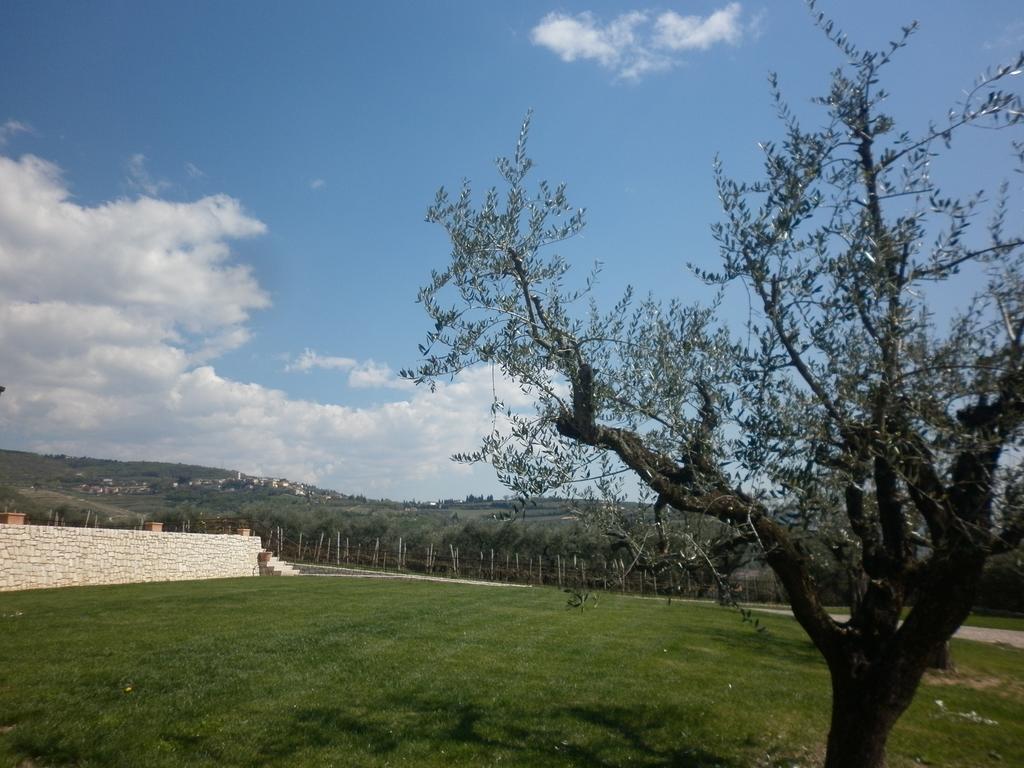 La Piccola Mimosa Sant'Ambrogio di Valpolicella Exterior photo