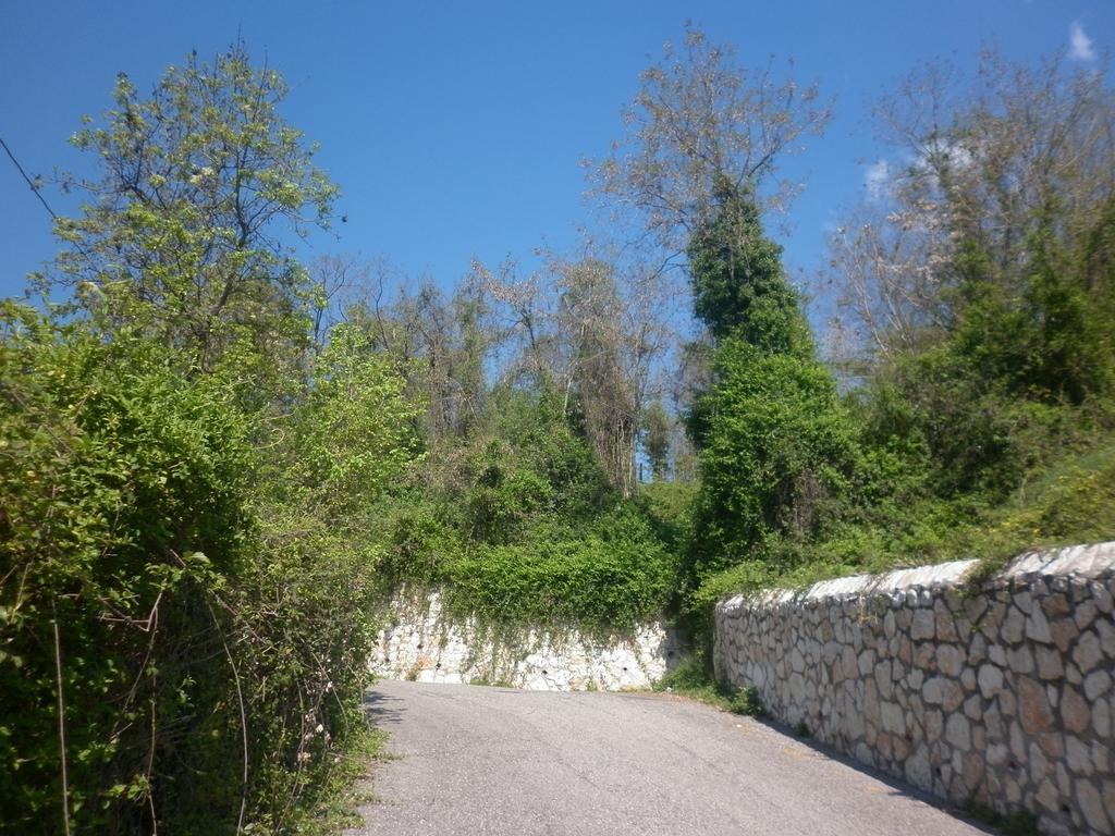 La Piccola Mimosa Sant'Ambrogio di Valpolicella Exterior photo