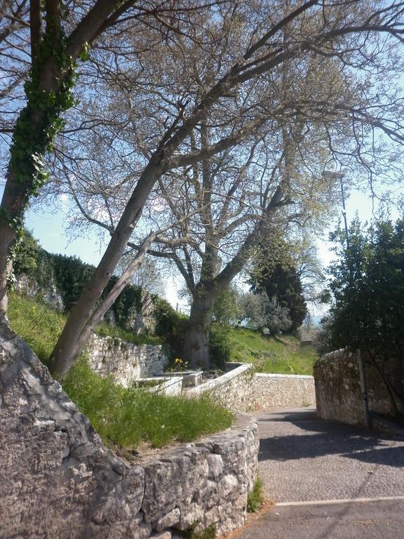 La Piccola Mimosa Sant'Ambrogio di Valpolicella Exterior photo